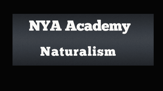 New York Apologetics Naturalism Exam