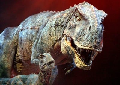 What Happened to the Dinosaurs?