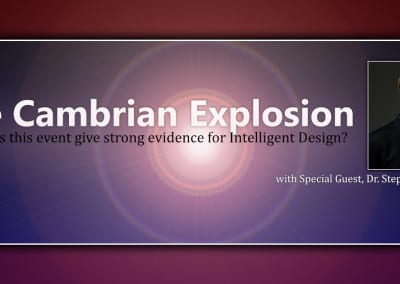 The Cambrian Explosion