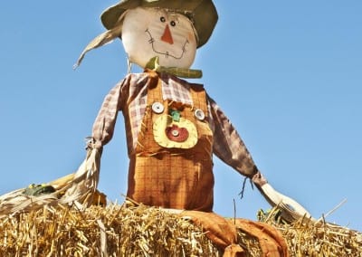 How to Engage a Straw Man