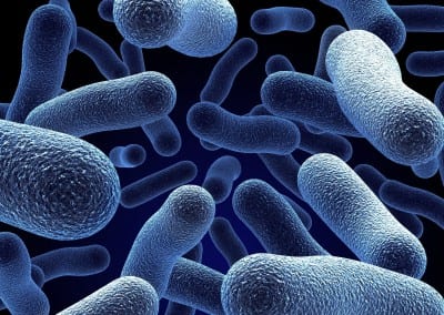 Cells Go to Extraordinary Lengths