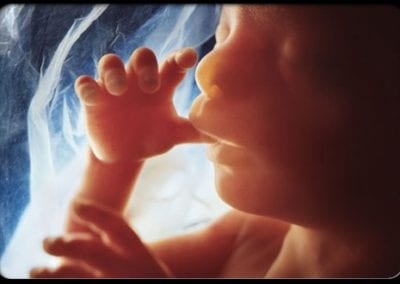 Learning the Argument Against Abortion